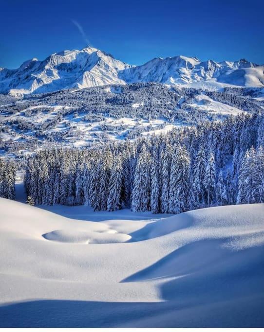 Logement A Megeve Avec Jardin Esterno foto